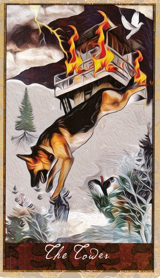 Wise Dog Tarot